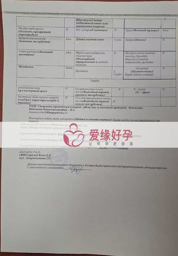 格鲁吉亚爱心使者孕21周产检顺利通过