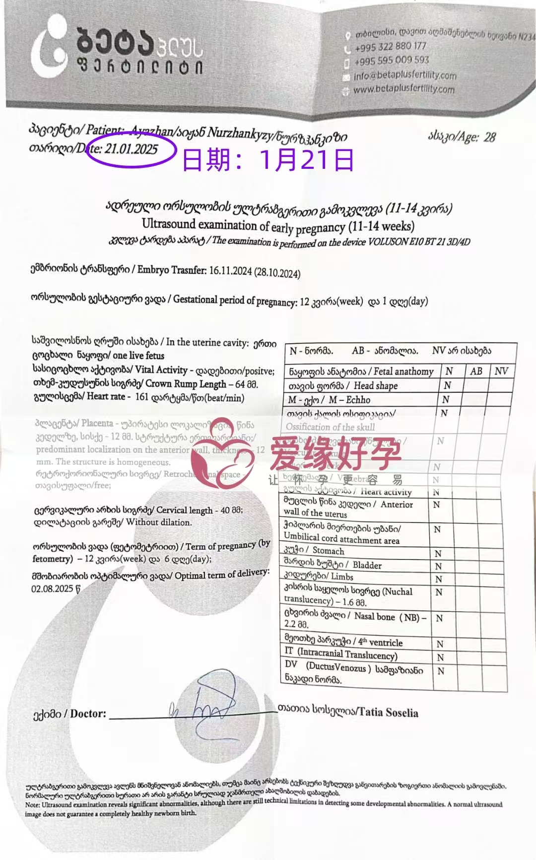 格鲁吉亚爱心使者顺利通过12周孕检，正式进入稳定期！