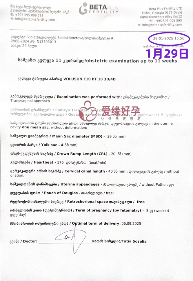格鲁吉亚试管婴儿助孕爱心使者8周孕检顺利通过