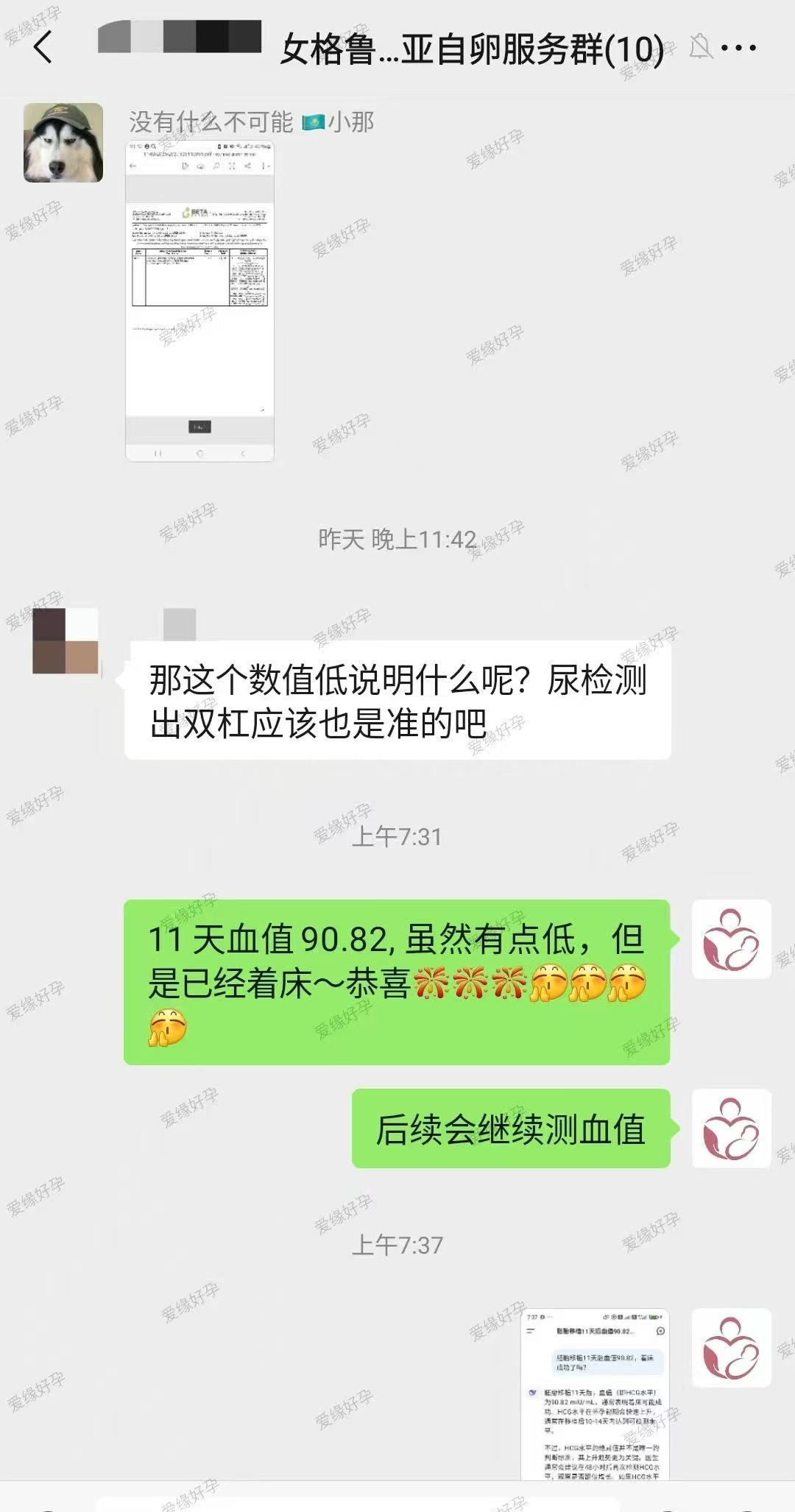 格鲁吉亚试管婴儿助孕爱心使者胚胎着床成功
