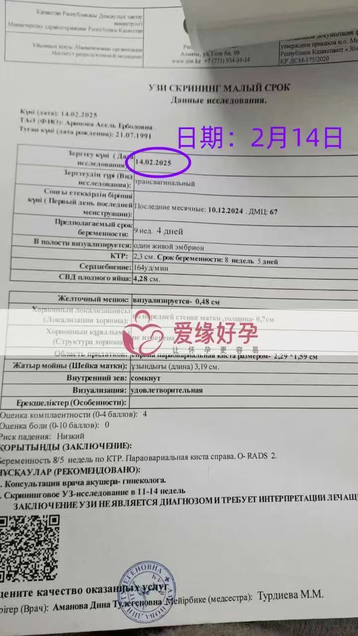 格鲁吉亚试管婴儿助孕爱心使者14周产检结果安好