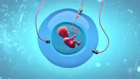 试管婴儿的全部流程：从准备到成功怀孕的全面指南