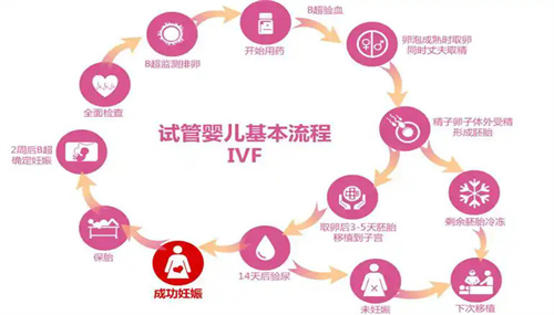 试管婴儿过程全揭秘：圆您生育梦想