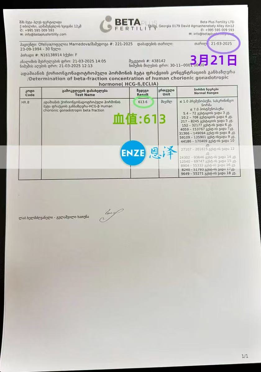 格鲁吉亚试管婴儿助孕爱心使者着床成功