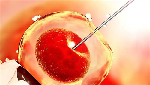 揭秘！10个人做试管究竟几个能成功