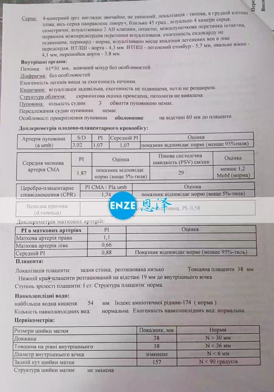乌克兰试管婴儿助孕爱心使者26周产检顺利过关