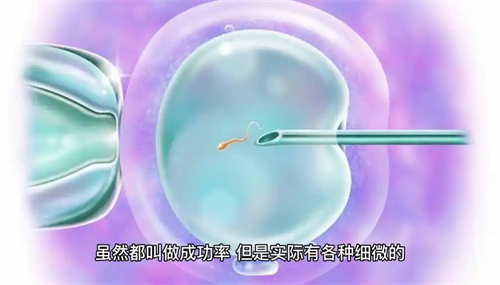 试管婴儿最多能做几次？关键因素大揭秘