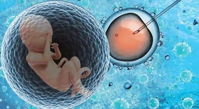哈萨克斯坦第三代试管助孕有何亮眼之处？