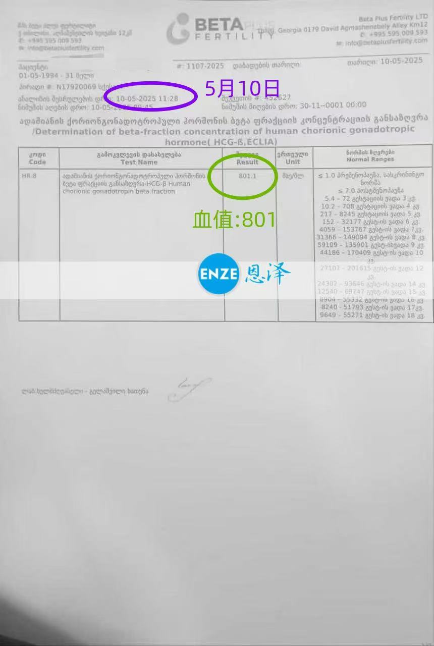 格鲁吉亚试管婴儿助孕爱心使者验孕成功