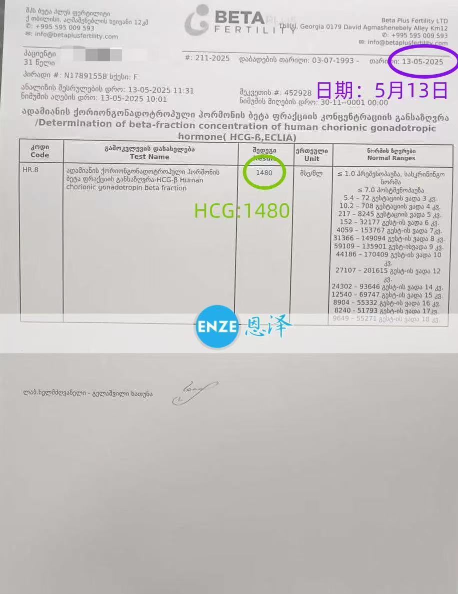 格鲁吉亚试管婴儿助孕爱心使者验孕成功