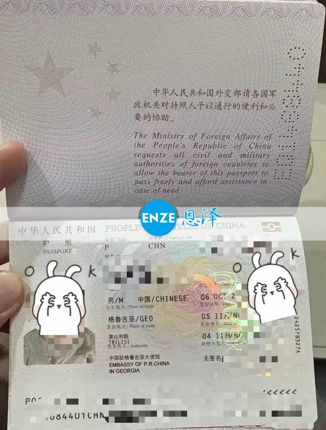 恩泽格鲁吉亚试管婴儿助孕宝宝出生不满一月，护照已到手